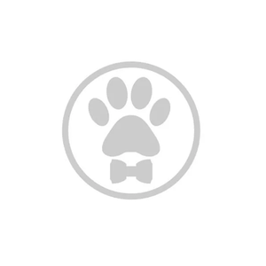 Bespoke Paws brand logo for bespokepaws.com