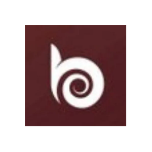Best Bronze brand logo for bestbronze.com