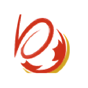 Best Cheap Soccer brand logo for bestcheapsoccer.cn