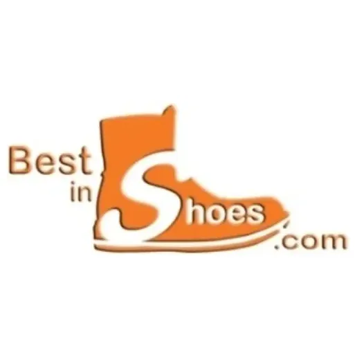 Best in Shoes brand logo for bestinshoes.com