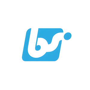 Best Sanitizers brand logo for bestsanitizers.com