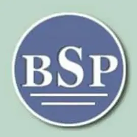 Best Social Plan brand logo for bestsocialplan.com