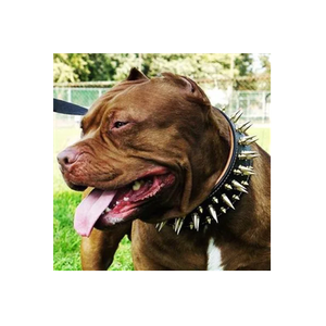 Bestia Dog Gear brand logo for bestiadoggear.com