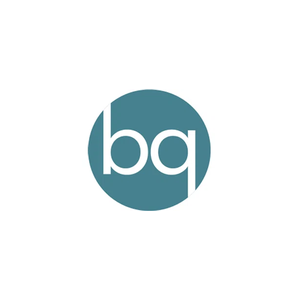 Better Quality Consulting brand logo for betterqualityconsulting.com