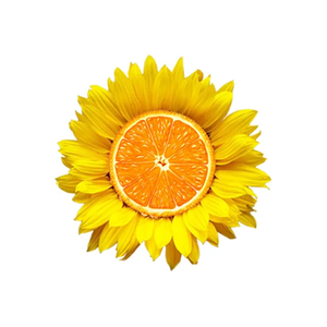 Beyond Healthy brand logo for beyondhealthy.ca