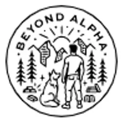 beyondalpha brand logo for beyondalpha.co