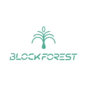 bft brand logo for bft.finance