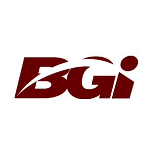 BG Indy brand logo for bgindy.com
