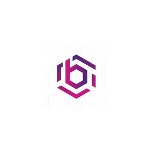 BHO brand logo for bho.network