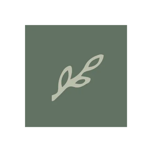 Biankina brand logo for biankina.com