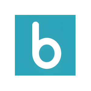 Biddr brand logo for biddr.com