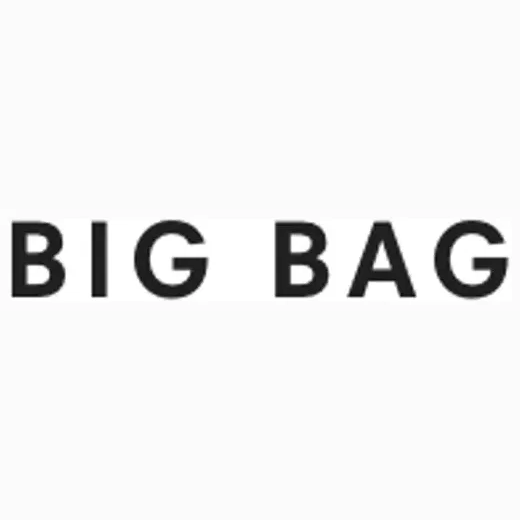 Big Bag brand logo for bigbagny.com
