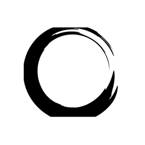 Big Disc brand logo for bigdisc.ca