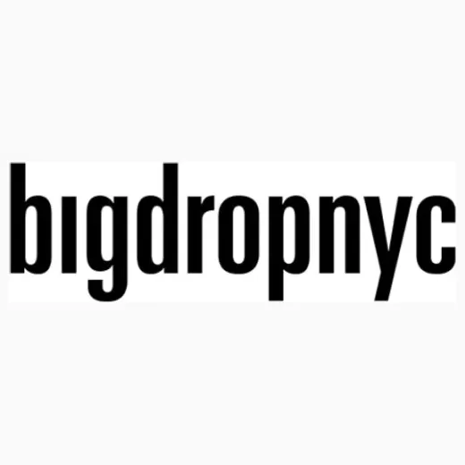 Big Drop brand logo for bigdropnyc.com