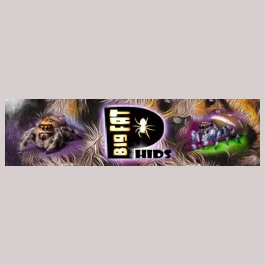 Big Fat Phids brand logo for bigfatphids.com