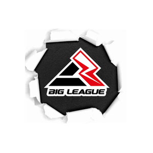 Big League Shirts brand logo for bigleagueshirts.com