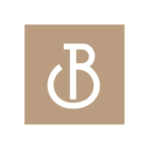 Big Mattress Co. brand logo for bigmattressco.com