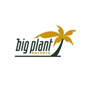 Big Plant Nursery brand logo for bigplantnursery.co.uk