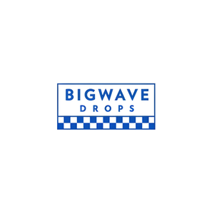 Big Wave Drops brand logo for bigwavedrops.surf