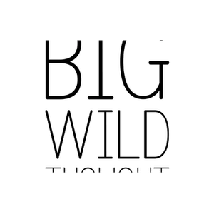 Big Wild Thought brand logo for bigwildthought.co.uk