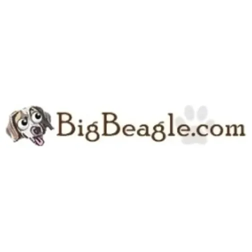 bigbeagle brand logo for bigbeagle.com