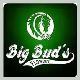 bigbudsflorist brand logo for bigbudsflorist.com
