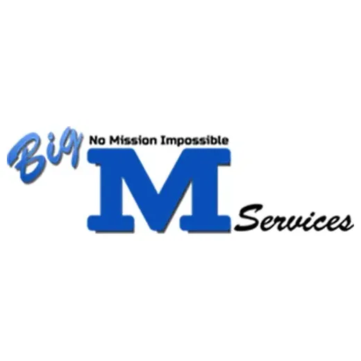 bigmservices brand logo for bigmservices.com