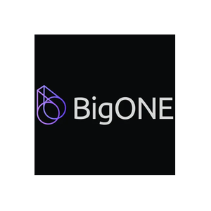 BigONE brand logo for big.one