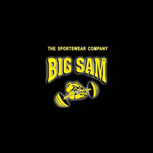 bigsam brand logo for bigsam.com