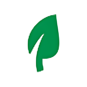 Bigzzia brand logo for bigzzia.com