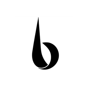 Biink brand logo for biink.com