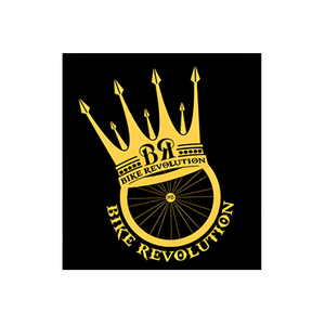 Bike Revolution brand logo for bikerevolution.store