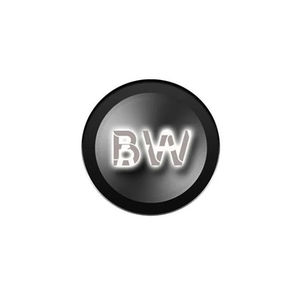 Bikers Wear brand logo for bikerswear.co.uk