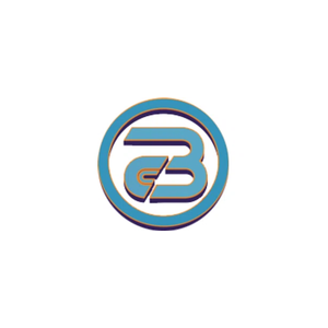 Bimmer Car Care brand logo for bimmercarcare.com
