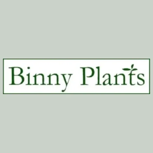 Binny Plants brand logo for binnyplants.com