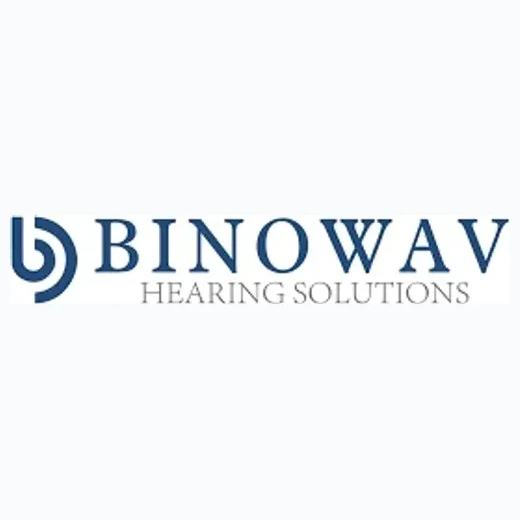 Binowav brand logo for binowav.com