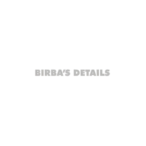 Birba's brand logo for birbasdetails.com