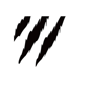 Birch Hunters brand logo for birchhunters.com
