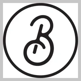 Birch on Pleasant brand logo for birchonpleasant.com
