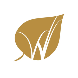 Birch & Wilde brand logo for birchandwilde.co.uk