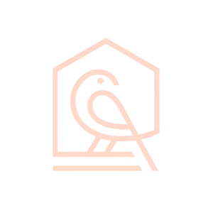 Bird & Lodgings brand logo for birdandlodgings.co.uk