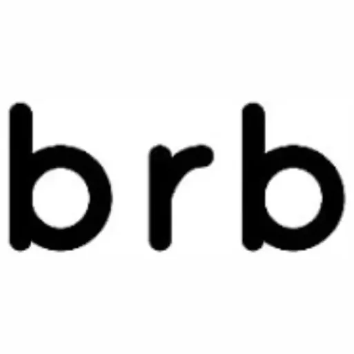 Bird Rock Baby brand logo for birdrockbaby.com
