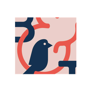 Bird & Trove brand logo for birdandtrove.com