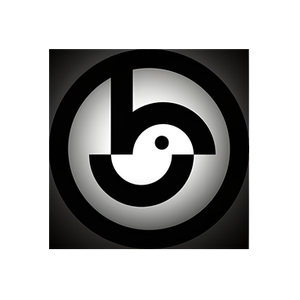 Birdie Disc Golf Supply brand logo for birdiediscgolfsupply.com