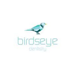 Birds Eye Dentistry brand logo for birdseyedentistry.com