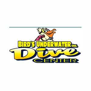 Birds Underwater brand logo for birdsunderwater.com