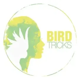 BirdTricks brand logo for birdtricksstore.com