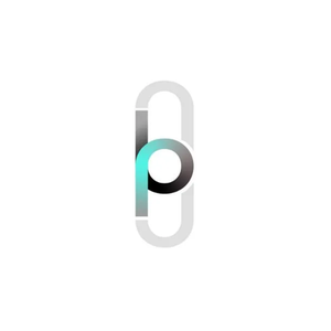 Birkdale brand logo for birkdalepartners.net