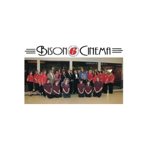 Bison 6 Cinema brand logo for bison6cinema.com
