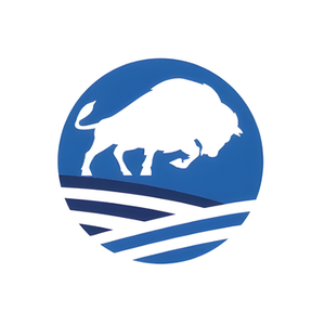 Bison Immigration brand logo for bisonimmigration.com